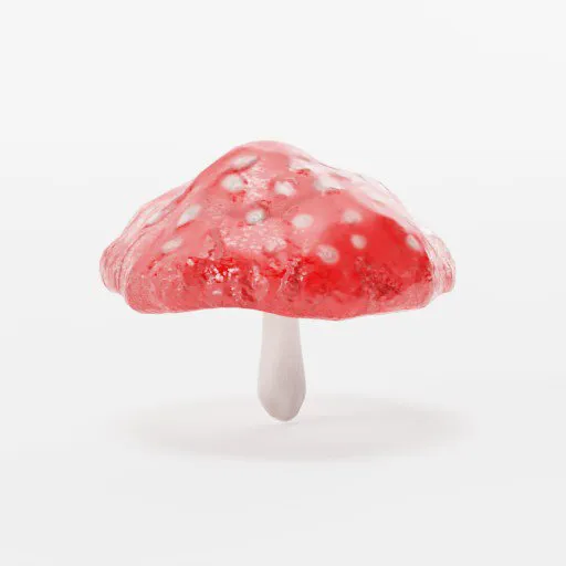 Mushroom